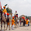 Horse & Camel rides